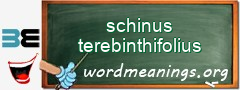 WordMeaning blackboard for schinus terebinthifolius